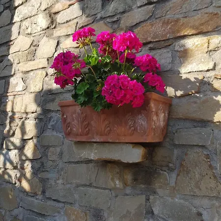 Dimora Le Antiche Torri Agropoli